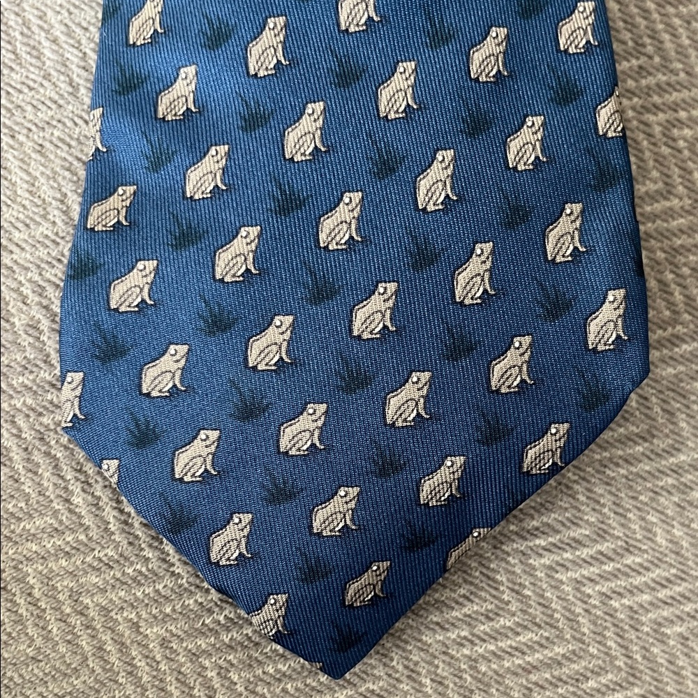 HERMES blue frog Patterned Men's Tie